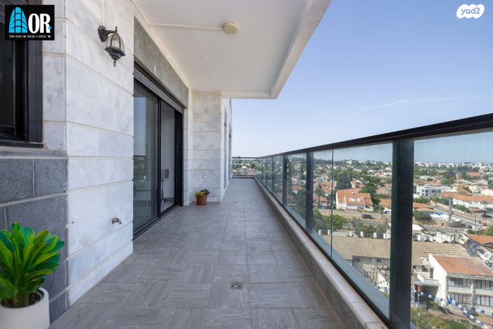 דירה, שאול המלך, יד אליעזר, נס ציונה