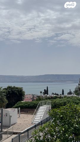 טולידאנו 