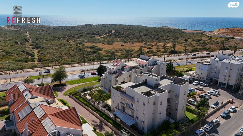 אירוס הארגמן 
