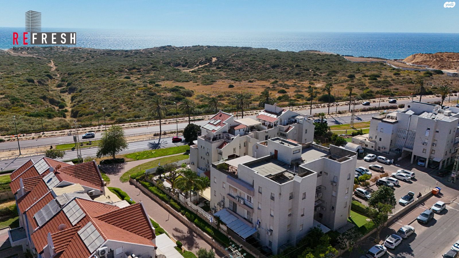 אירוס הארגמן 