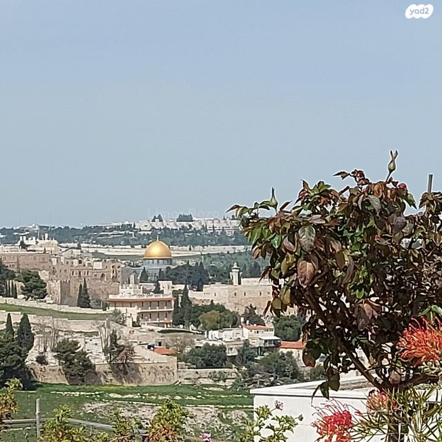 גבעת חנניה, אבו תור