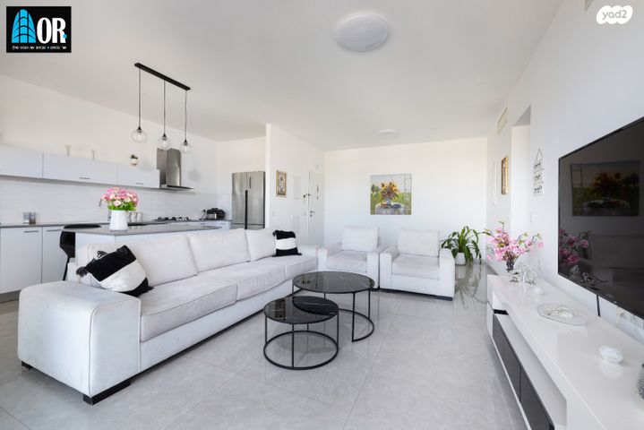 דירה, שאול המלך, יד אליעזר, נס ציונה