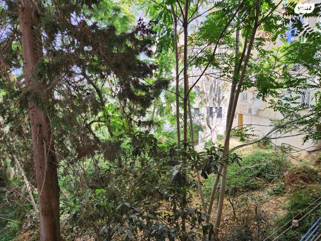 דירה, כרמי 7, רוממה, חיפה