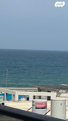 דירה, ז'בוטינסקי, עיר, מרכז העיר, נהריה