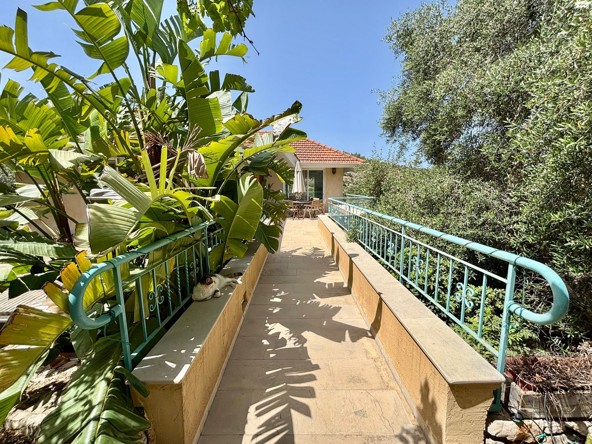 בית פרטי/ קוטג'