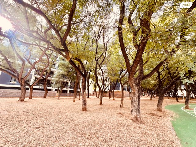 דירה, יפתח, יד אליהו, תל אביב יפו