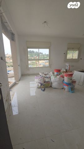 דירה, בן גוריון כנען, צפת