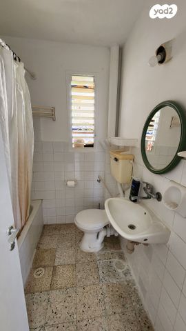 דירה, רמת הגולן, אריאל