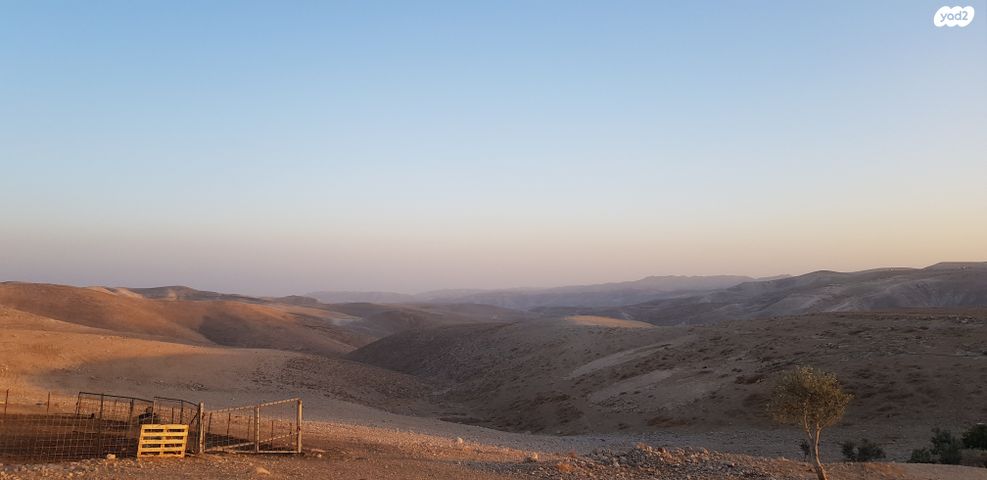 מגרשים, מעלה אדומים