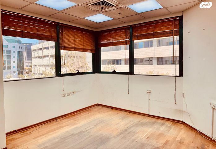 יגאל אלון 55