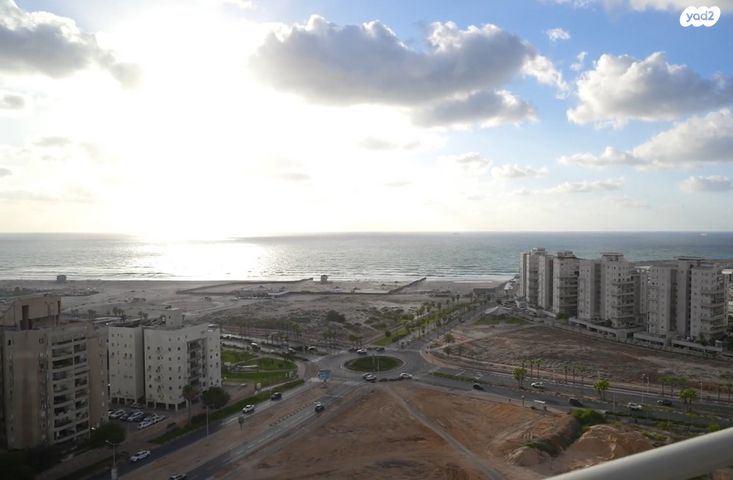 כינור 18