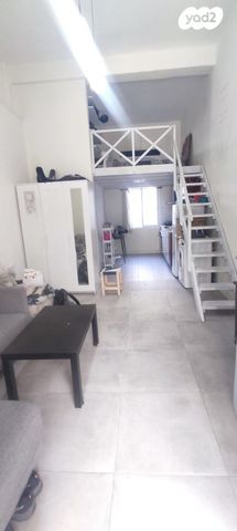 דירת גן, יודפת, העיר התחתית, ואדי סאליב, חיפה