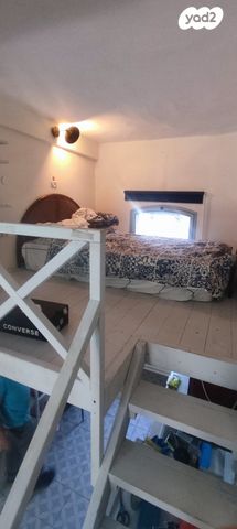 דירת גן, יודפת, העיר התחתית, ואדי סאליב, חיפה