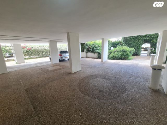 דירה, וולפסון, עיר, מרכז העיר, נהריה