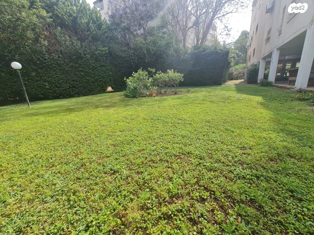 דירה, וולפסון, עיר, מרכז העיר, נהריה