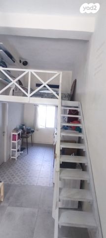 דירת גן, יודפת, העיר התחתית, ואדי סאליב, חיפה