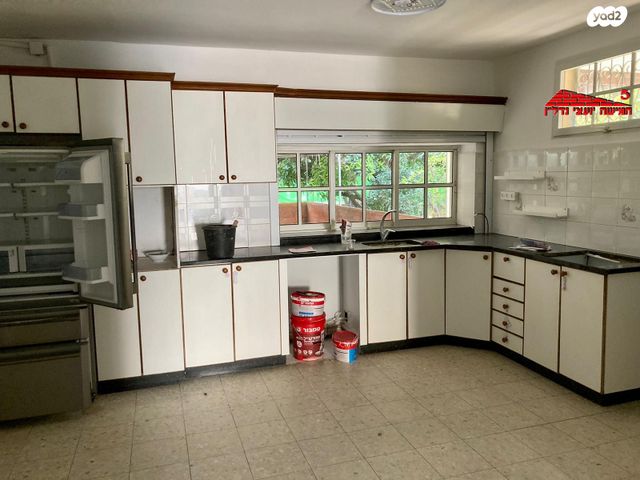 דו משפחתי, דוד המלך, ראשון לציון