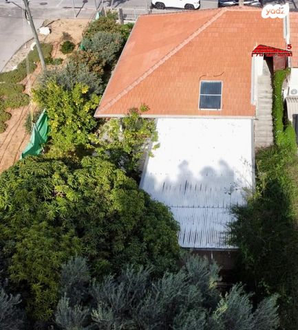 דו משפחתי, דוד המלך, ראשון לציון