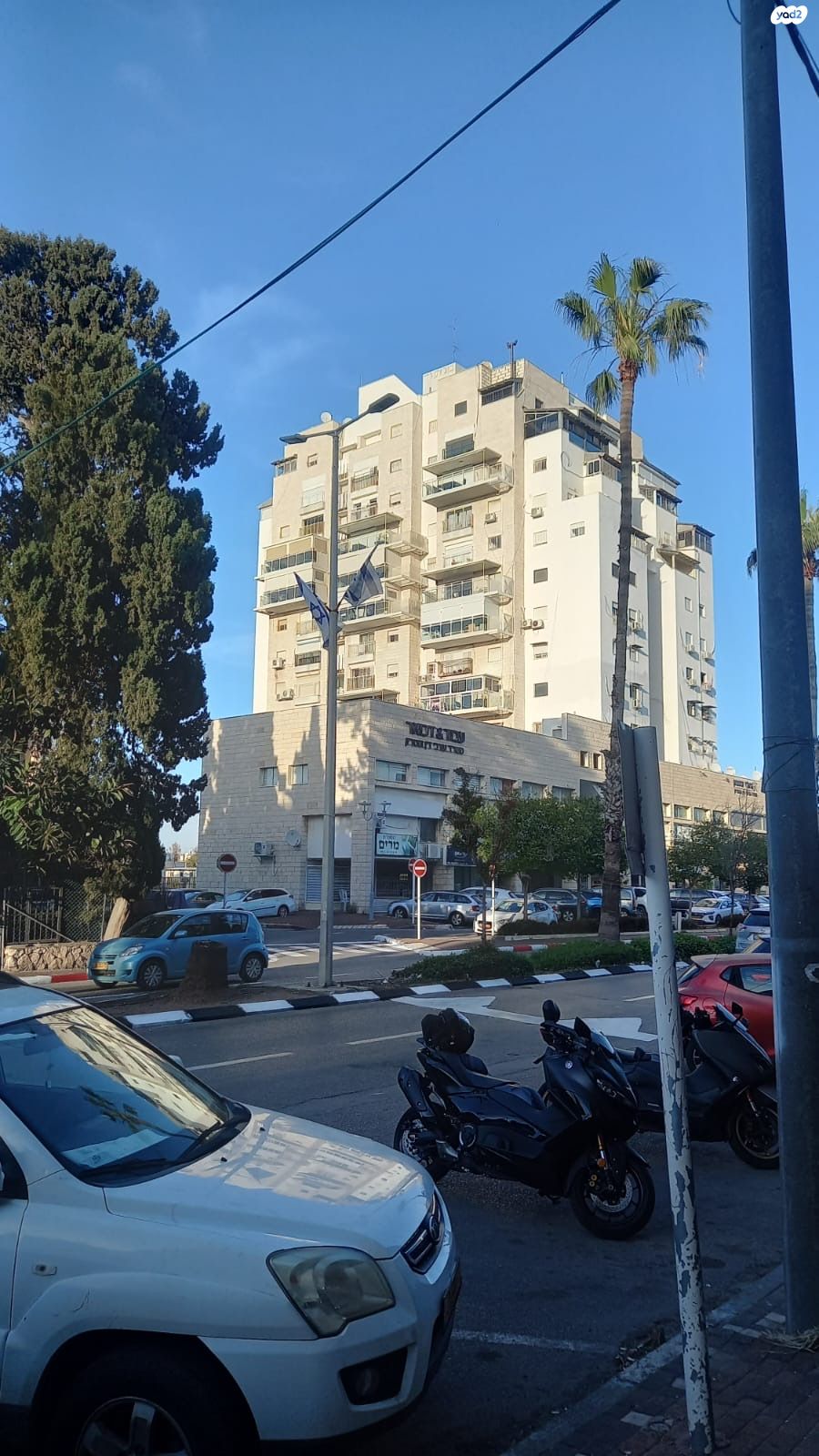 בן עמי 