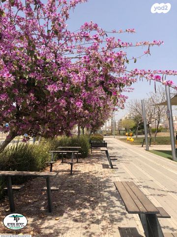 דירה, גלי כרמל, טירת כרמל