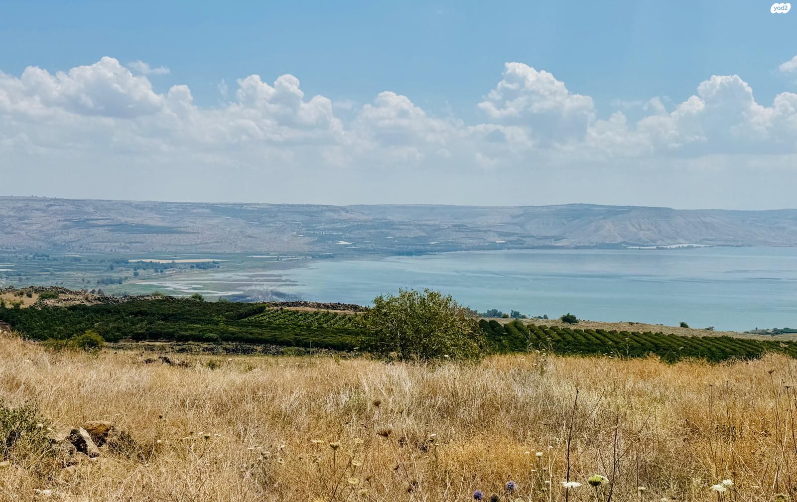 מגרשים