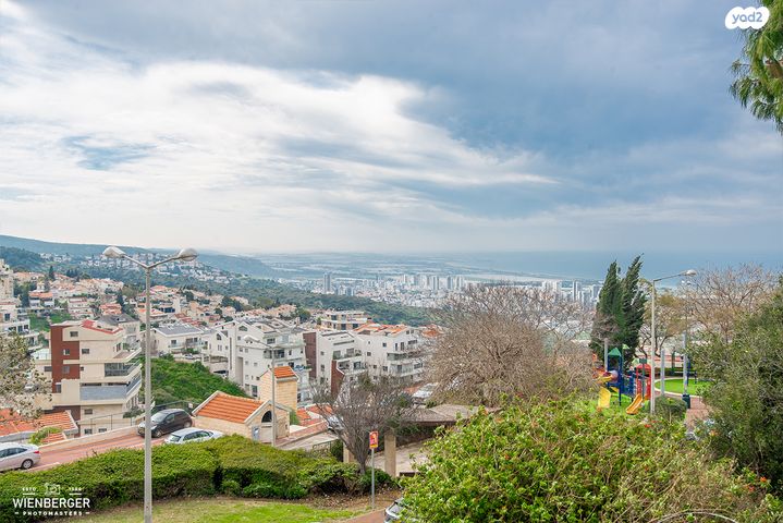 דירה, אחוזה, חיפה