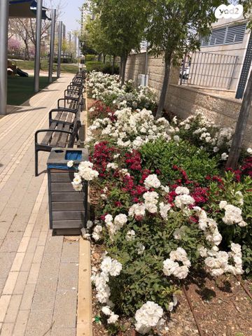 דירה, גלי כרמל, טירת כרמל