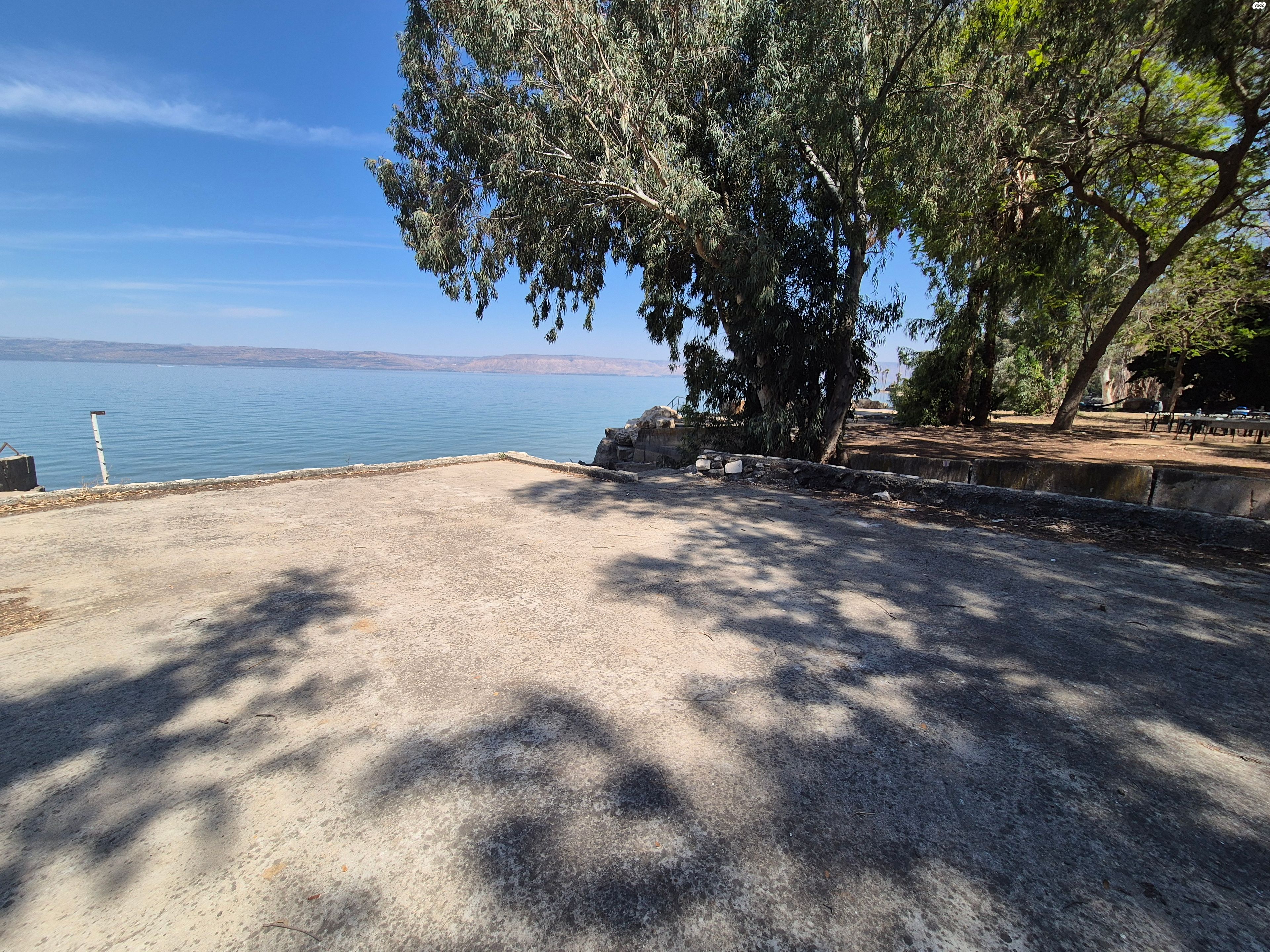 מגרשים