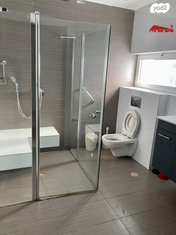 דו משפחתי, דוד המלך, ראשון לציון