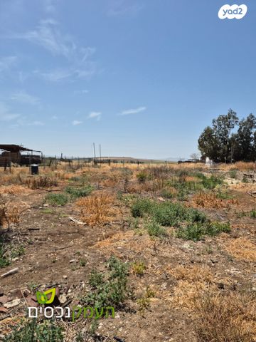 משק חקלאי/ נחלה, כפר גדעון