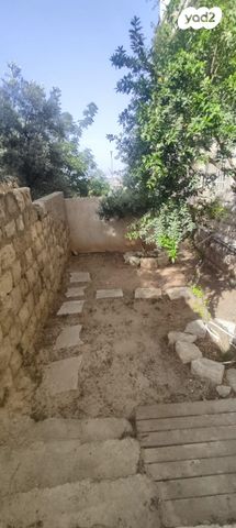 דירת גן, יודפת, העיר התחתית, ואדי סאליב, חיפה