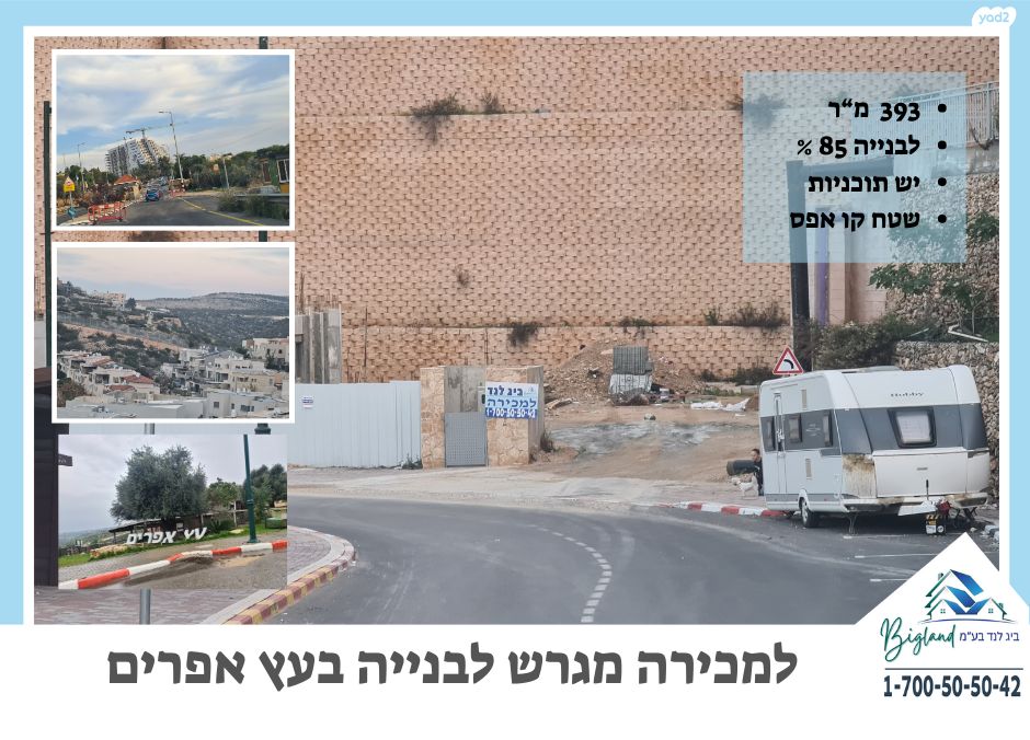 עץ אפרים