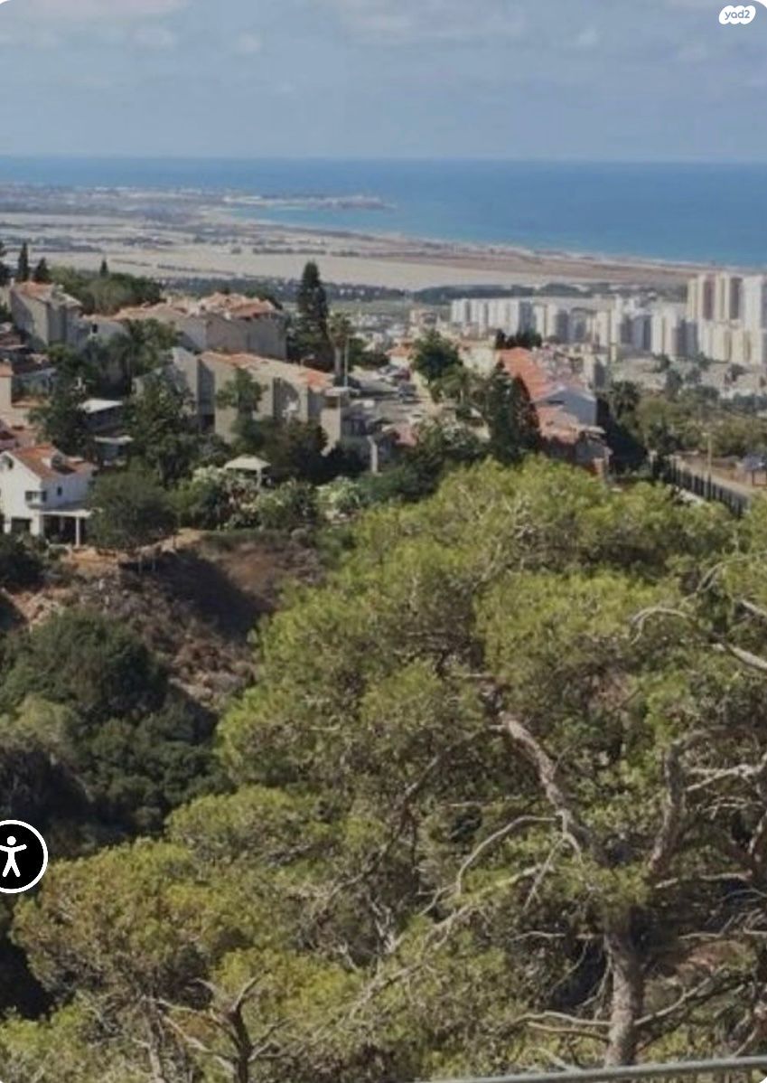 דורון מייבלום 4