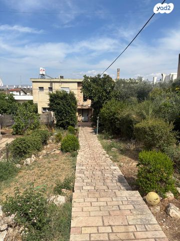 שלמה המלך 40