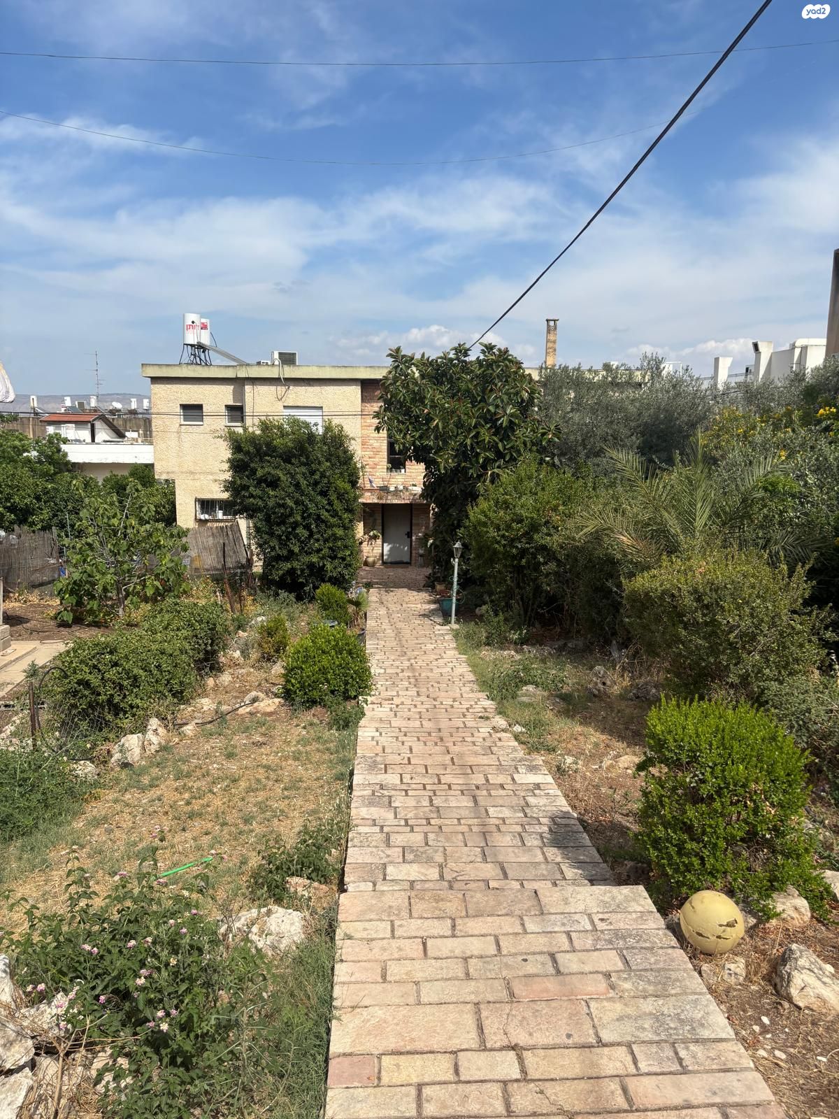 שלמה המלך 40