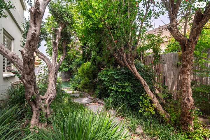 בית פרטי/ קוטג', מאור