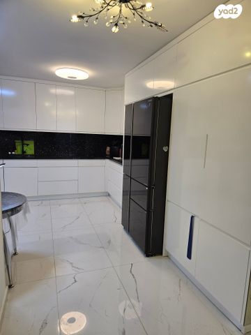 דירה, יעקב קרול, קרול, פתח תקווה