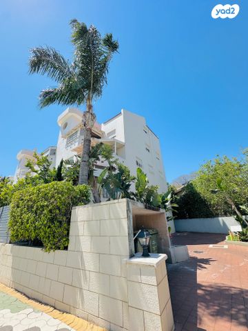 וולפסון 54
