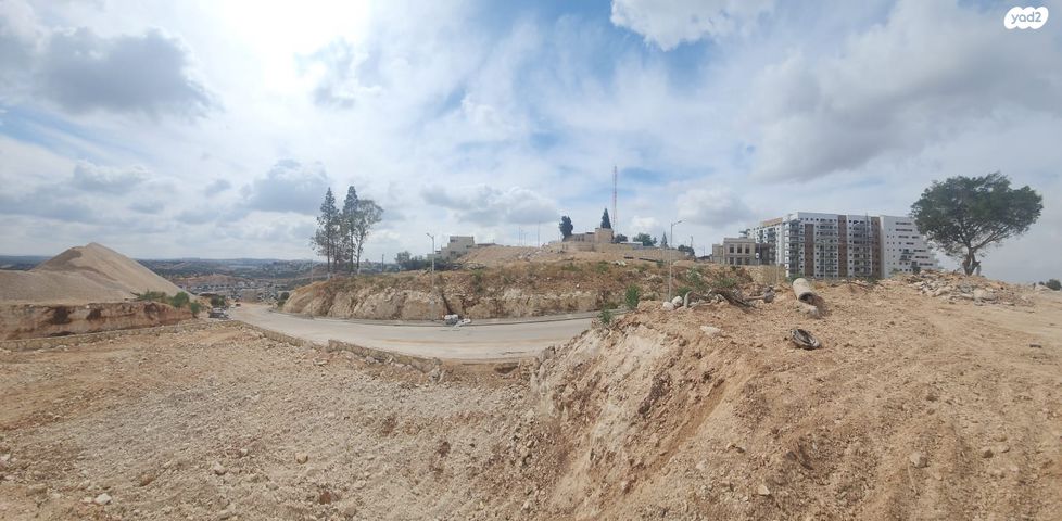 מגרשים, עין גדי, אלקנה