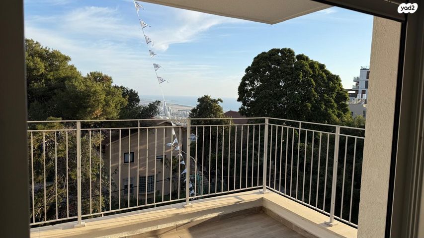 דירה, אחוזה, חיפה