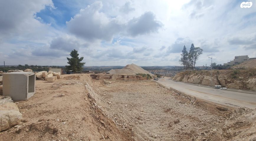 מגרשים, עין גדי, אלקנה