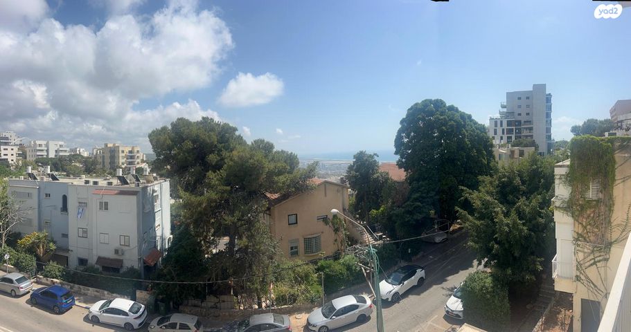 דירה, אחוזה, חיפה