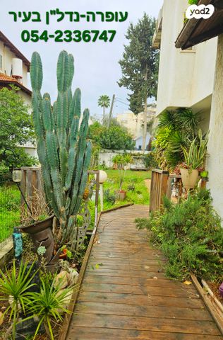 דו משפחתי, רחל הרשנזון, שעריים, רחובות