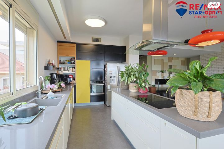 גג/ פנטהאוז, הר נבו, גולן, רמת השרון