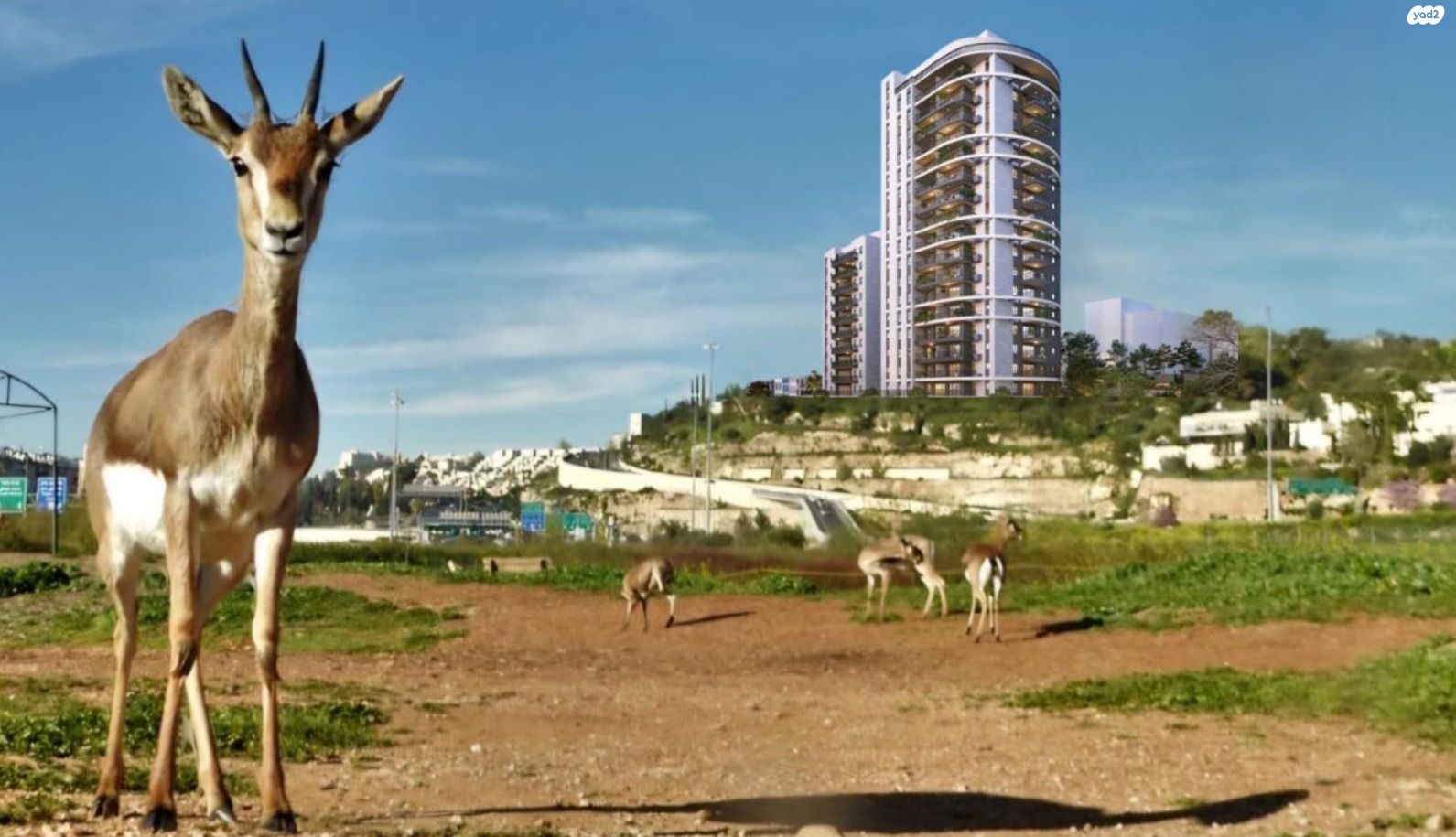 גג/ פנטהאוז