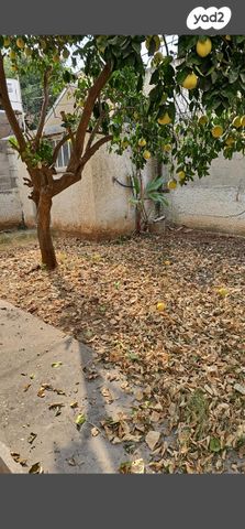 דו משפחתי, לח"י 6, שעריה, פתח תקווה