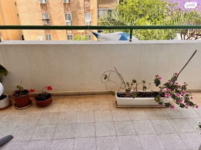 דירה, הרצליה