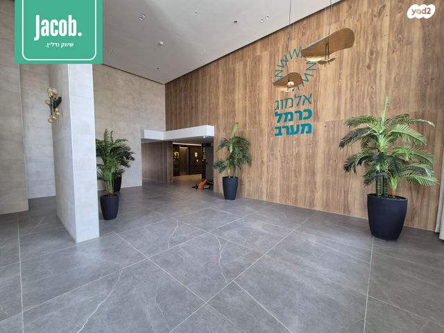 דירה, נווה דוד, חיפה