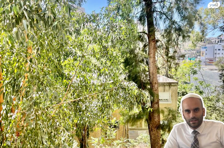 דירה, אבא הלל סילבר, יזרעאליה, חיפה