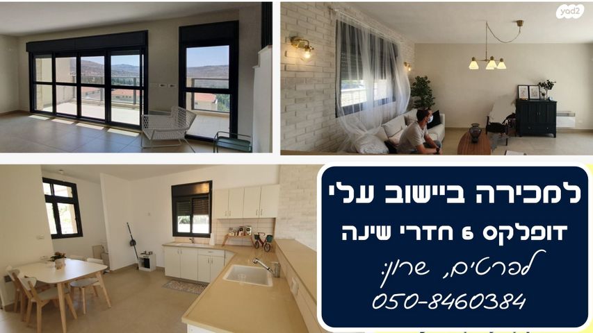 האורן 16